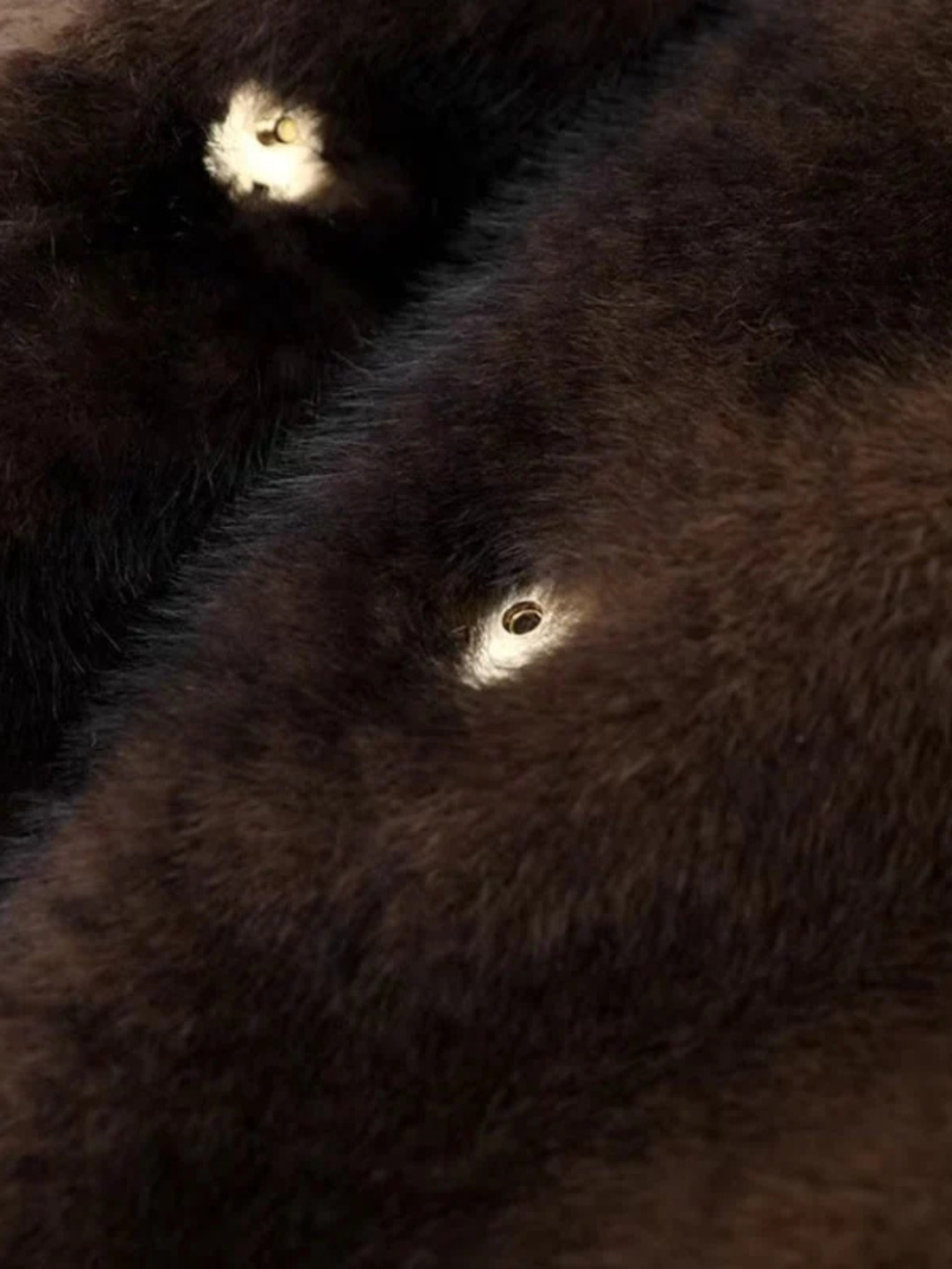 Long Faux Fur Covered Button Coat